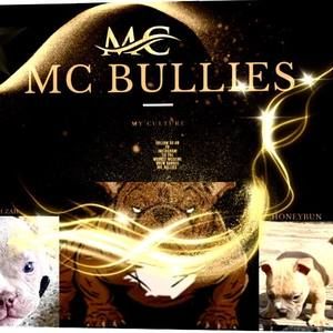 Meet your Posher, Drew